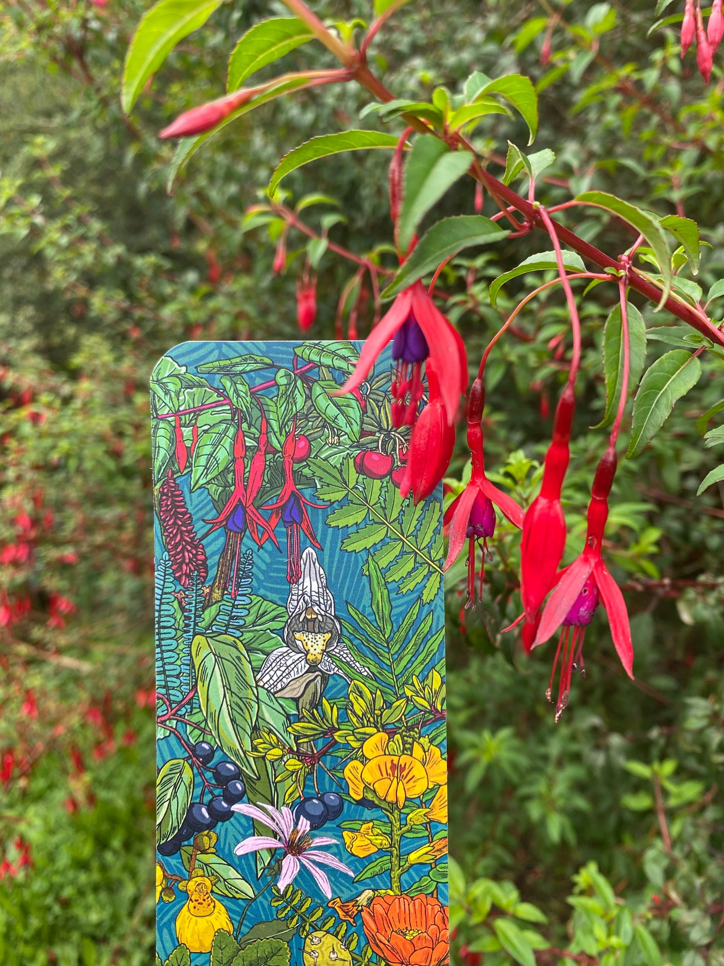 MARCAPÁGINA FLORA