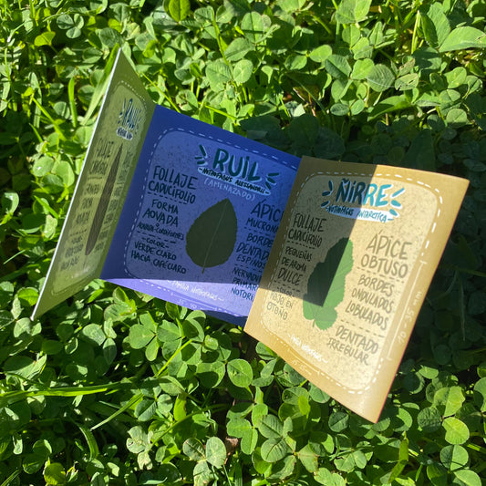 Fanzine Nothofagus