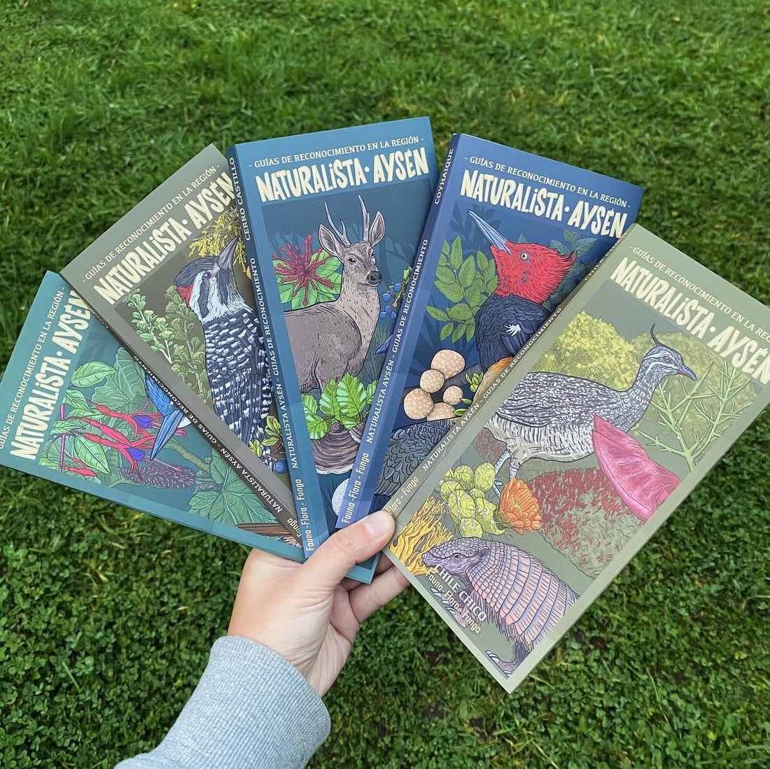 Guías Naturalistas Aysén