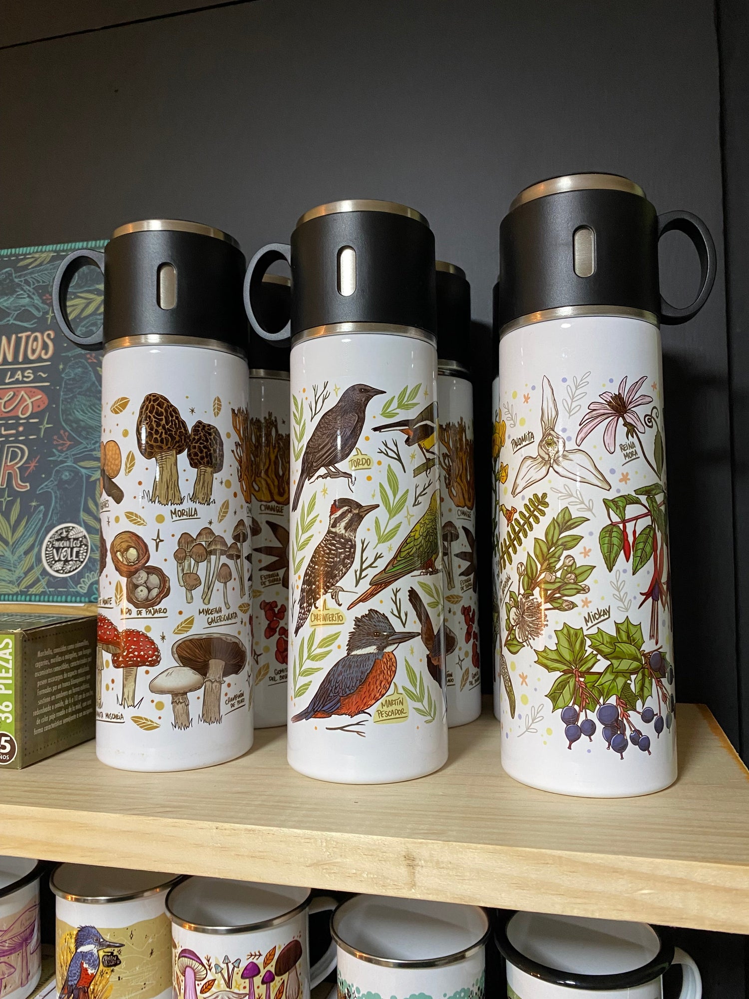 Botellas Y Termos