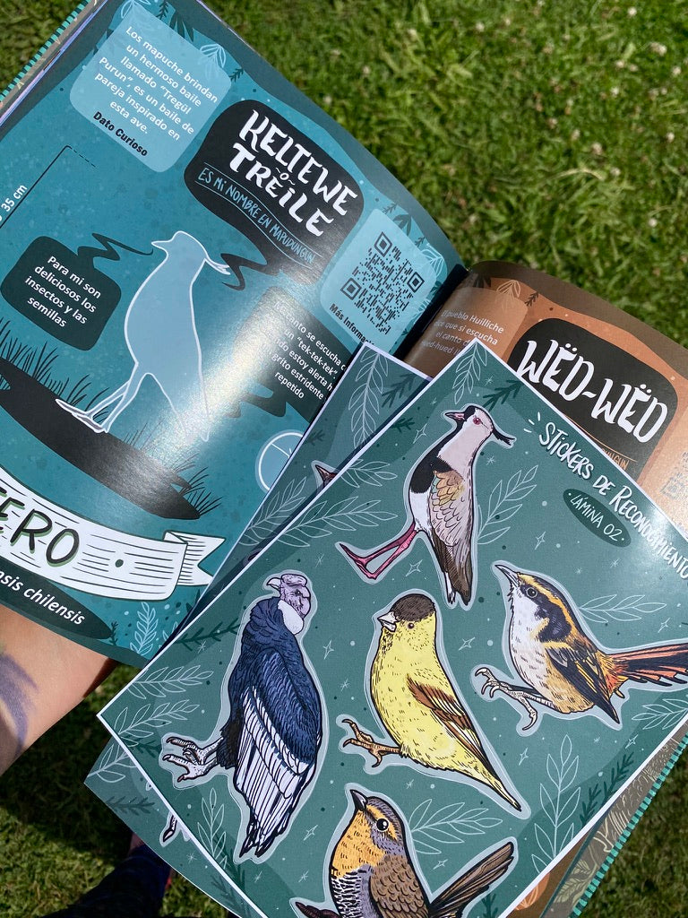LIBRO CANTO DE LAS AVES DEL SUR (incluye stickers)