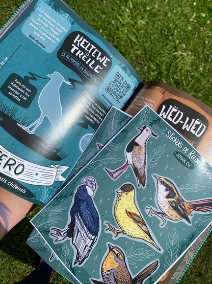 LIBRO CANTO DE LAS AVES DEL SUR (incluye stickers)