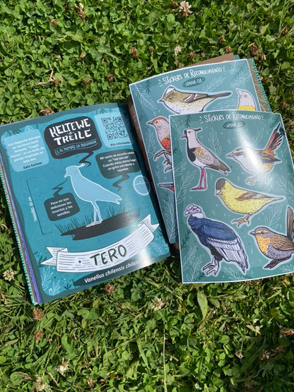 LIBRO CANTO DE LAS AVES DEL SUR (incluye stickers)