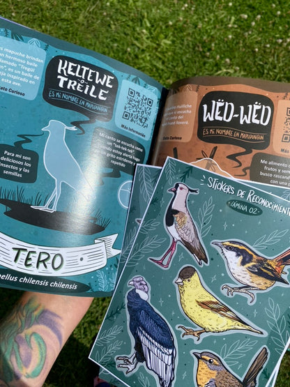 LIBRO CANTO DE LAS AVES DEL SUR (incluye stickers)