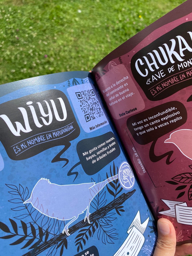 LIBRO CANTO DE LAS AVES DEL SUR (incluye stickers)
