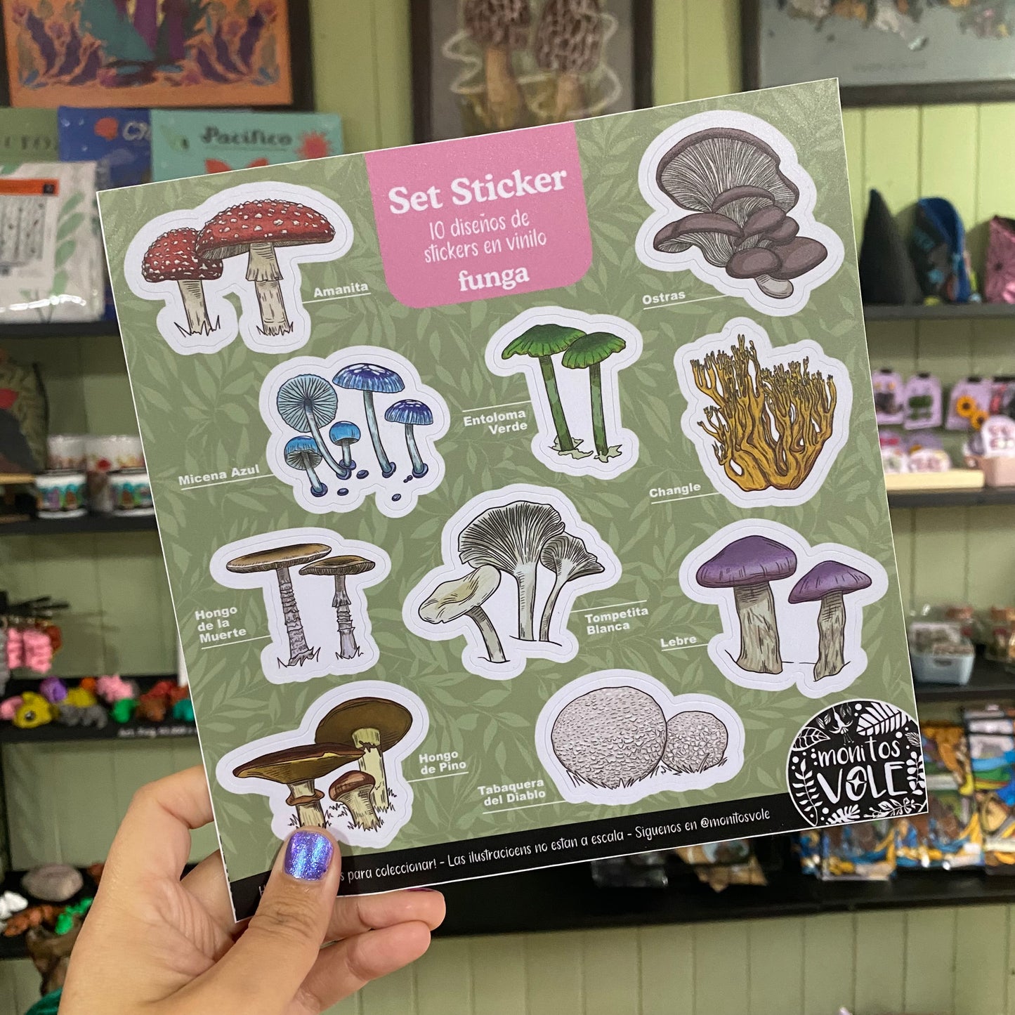 Lámina de Stickers – Funga de la Región de Aysén (verde)