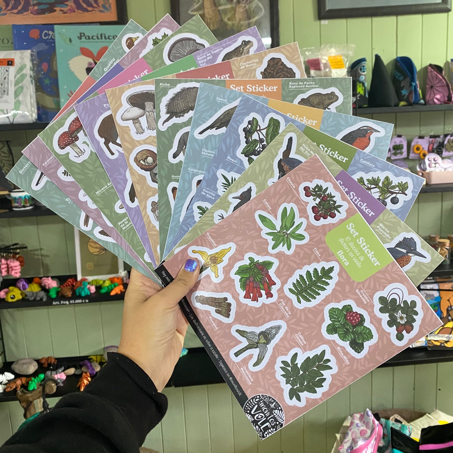 Lámina de Stickers – Fauna de la Región de Aysén (turquesa)