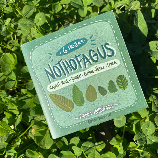 Fanzine Nothofagus