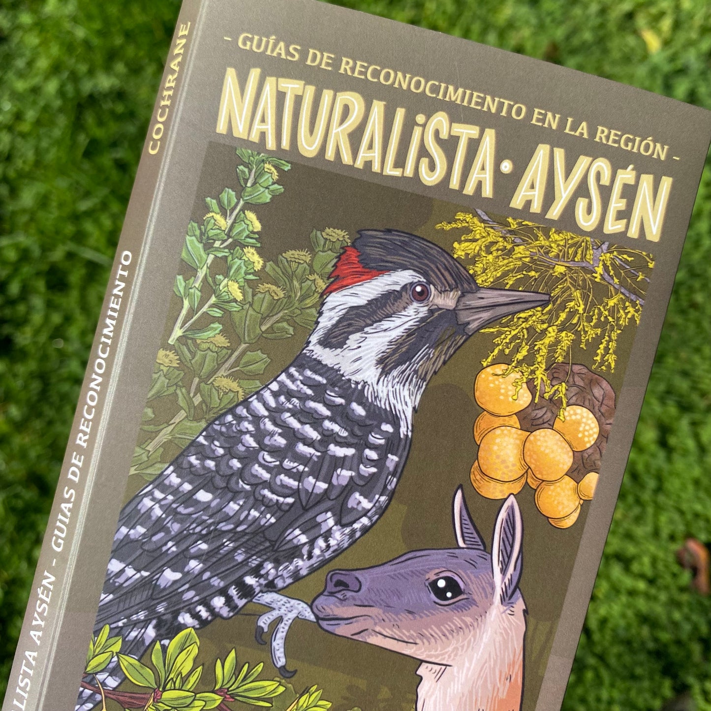GUIA NATURALISTA AYSÉN - COCHRANE