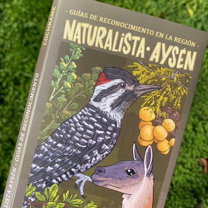 GUIA NATURALISTA AYSÉN - COCHRANE