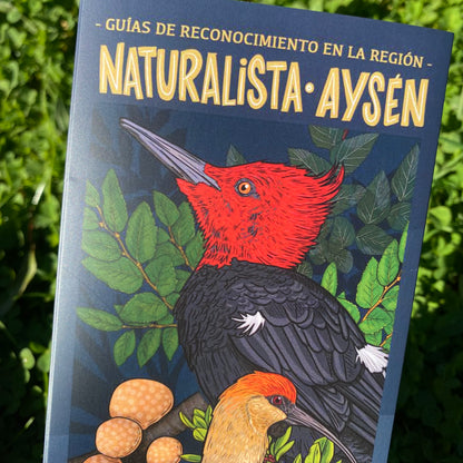 GUIA NATURALISTA AYSÉN - COYHAIQUE