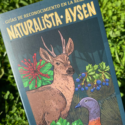 GUIA NATURALISTA AYSÉN - VILLA CERRO CASTILLO