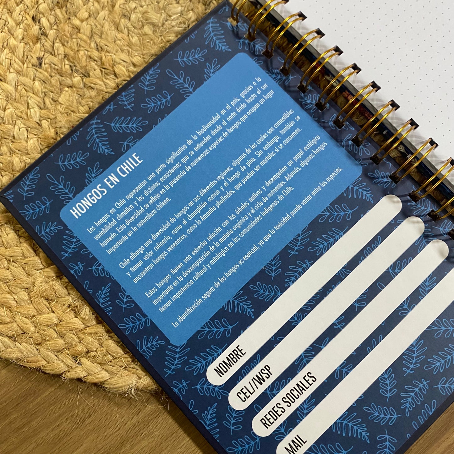 LIBRETA A5: Hongos