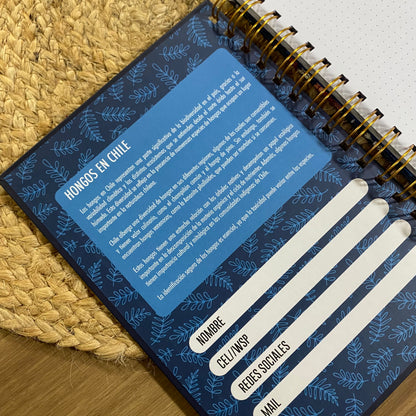 LIBRETA A5: Hongos