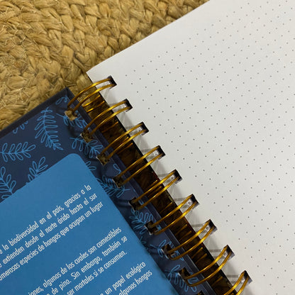 LIBRETA A5: Hongos
