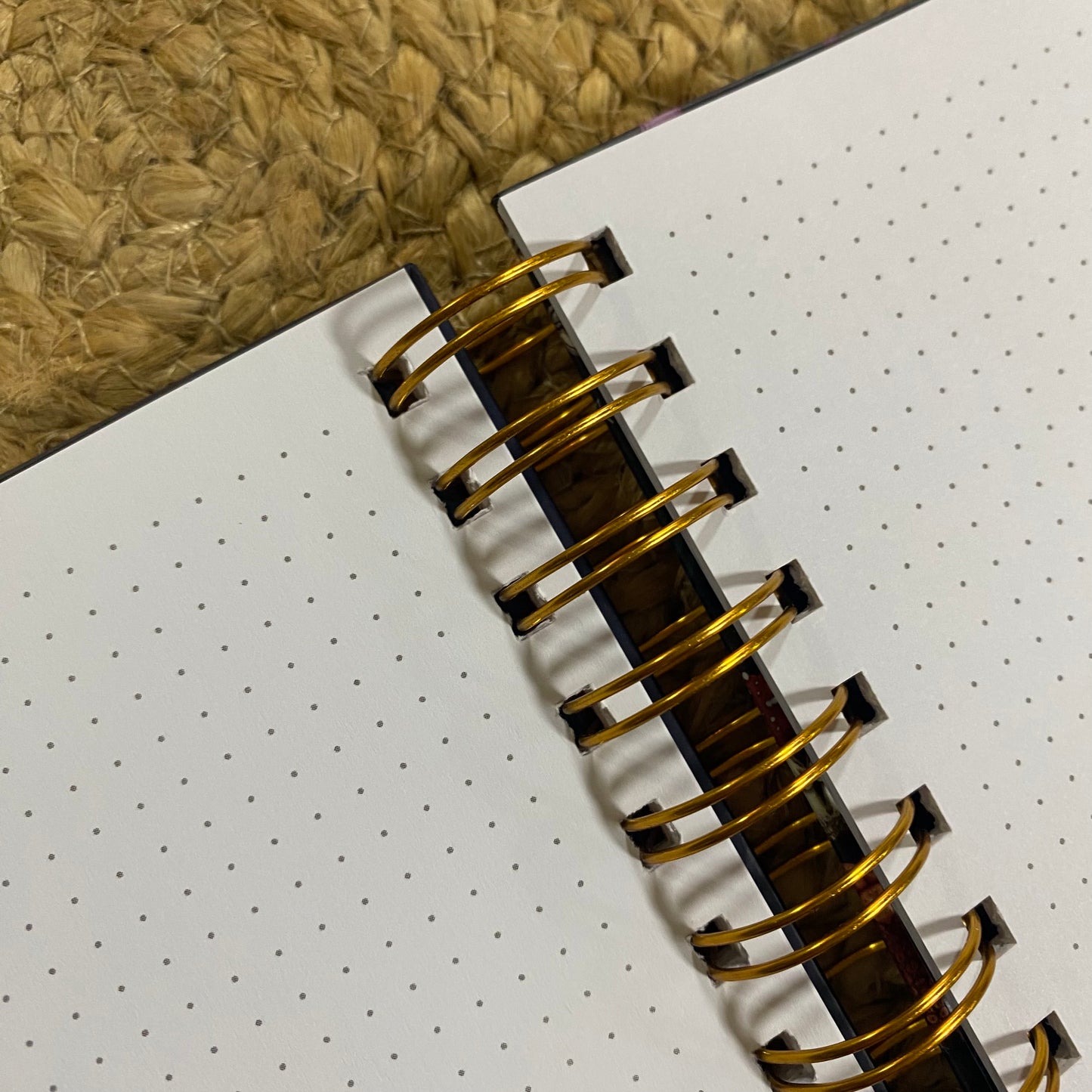 LIBRETA A5: Hongos