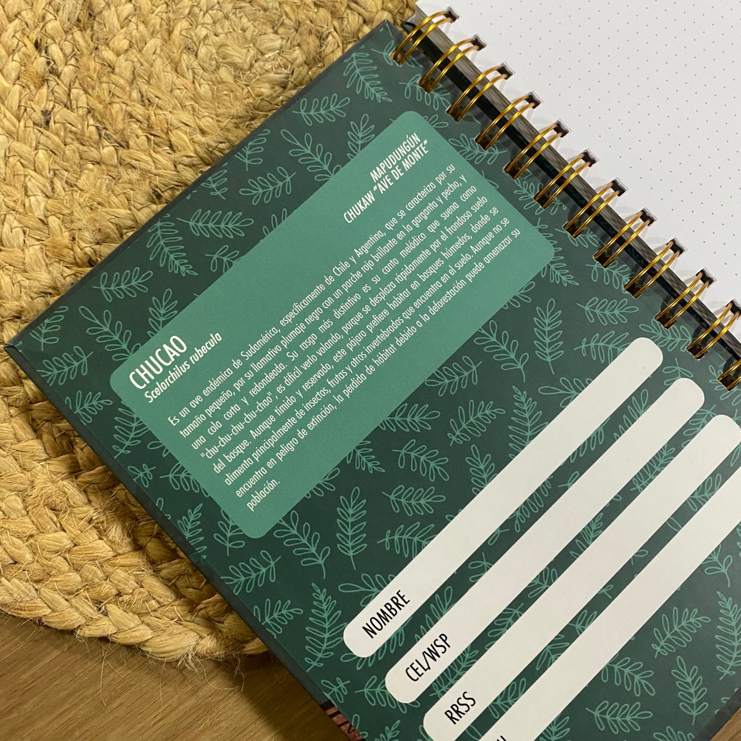 LIBRETA A5: Chucao