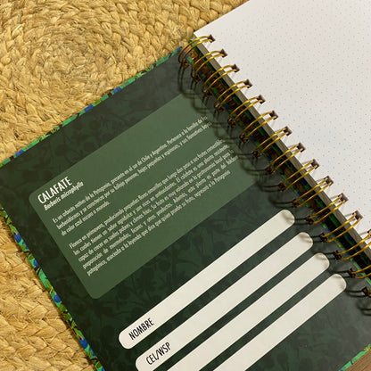 LIBRETA A5: Calafate