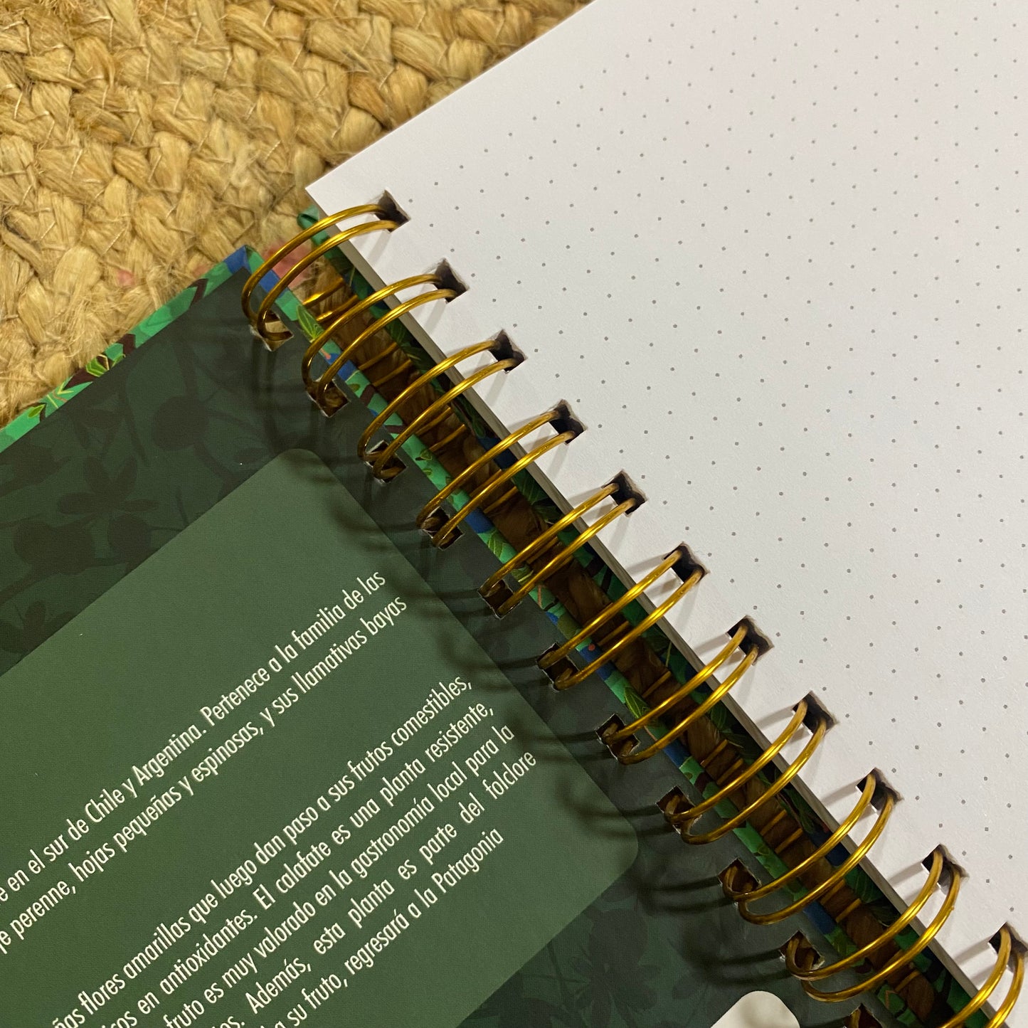 LIBRETA A5: Calafate