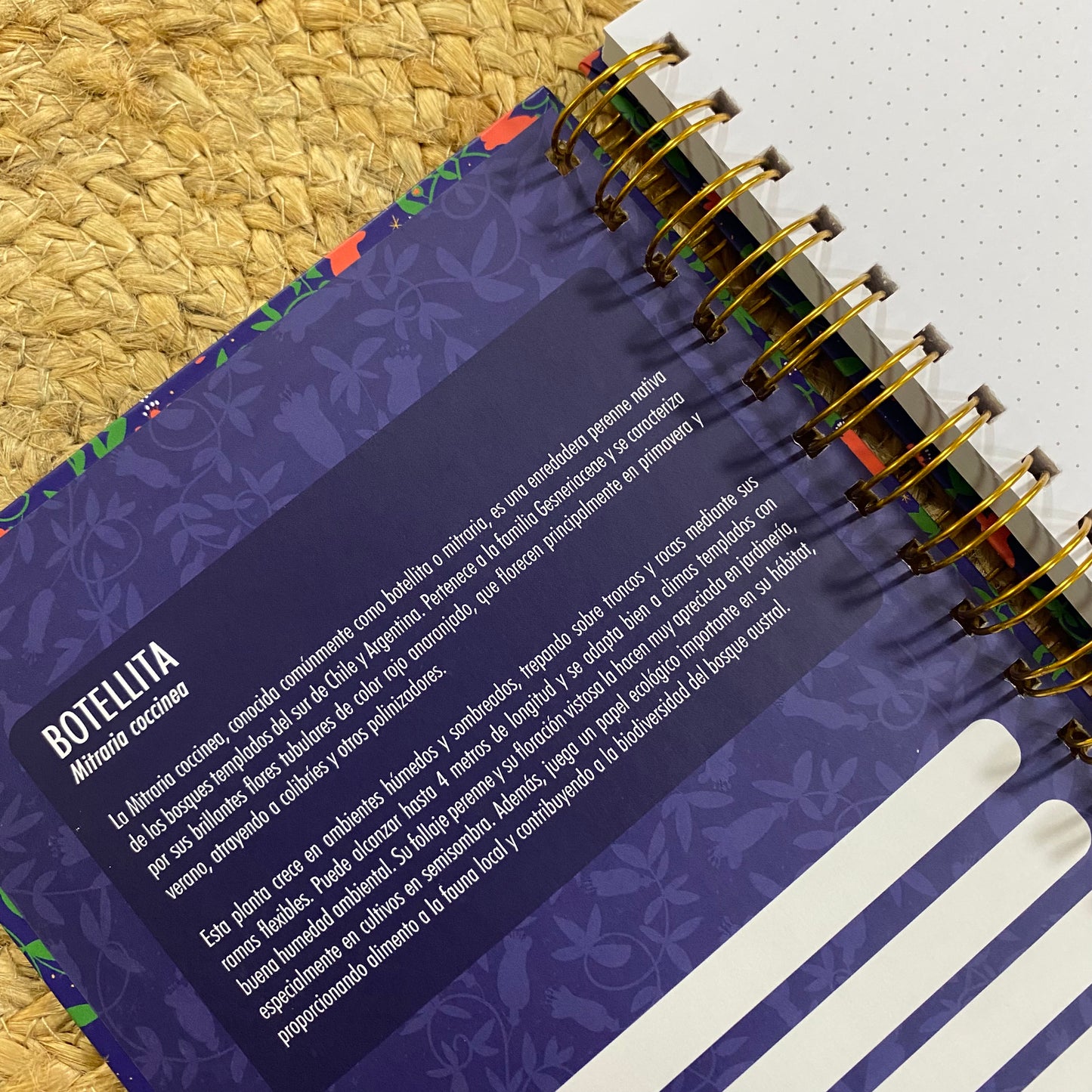 LIBRETA A5: Flores Chile Chico (Copia)