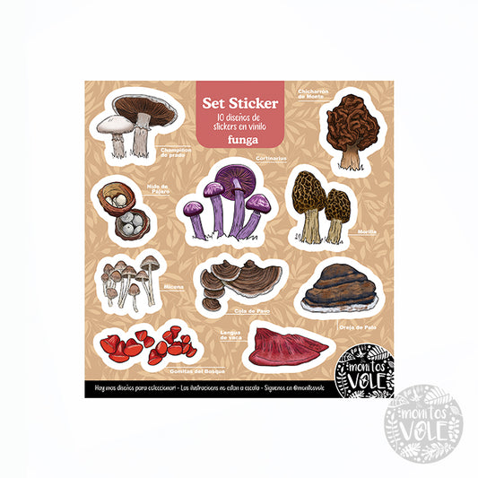 Lámina de Stickers – Funga de la Región de Aysén (naranjo)